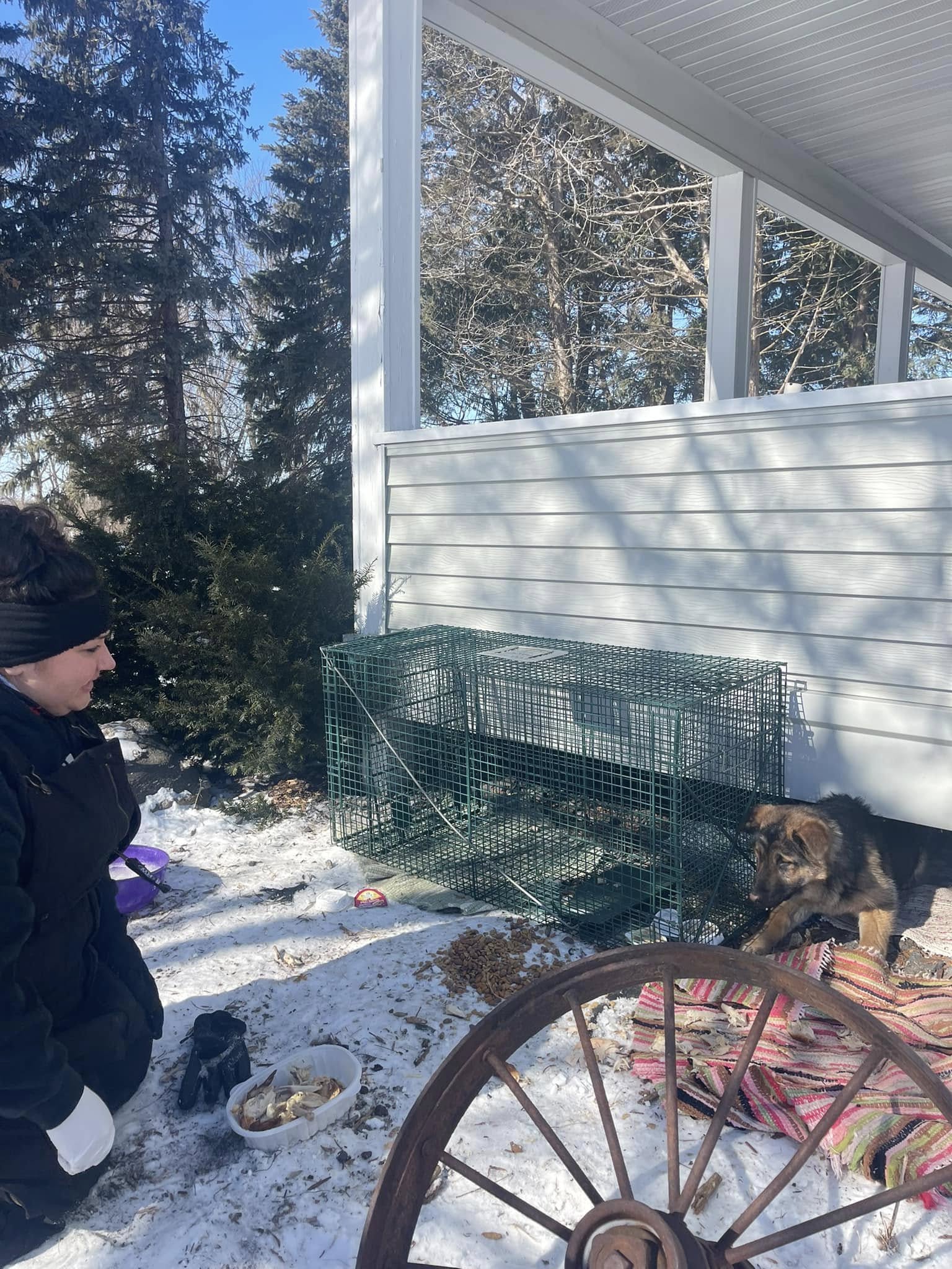 woman and cold dog